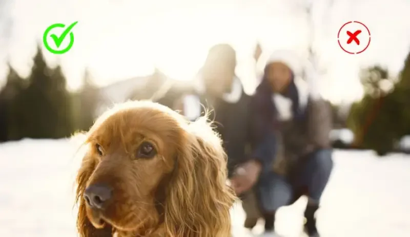 erros comuns ao usar comparativos e superlativos em inglês