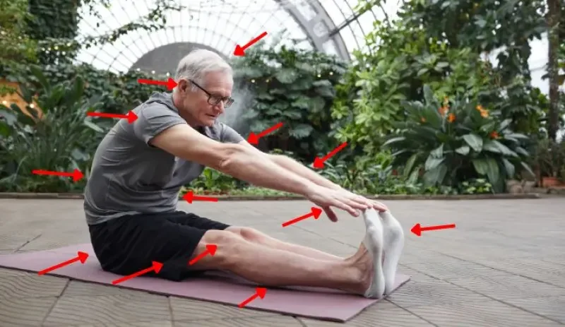 Todas as partes do corpo em inglês